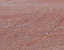 Baseball Diamond Clay